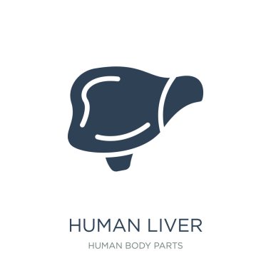 insan karaciğer simge vektör dolu beyaz arka planda, insan karaciğer trendy simgeler insan vücudu parçaları Collection