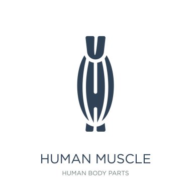 insan kas simge vektör beyaz arka plan üzerinde insan kas trendy insan vücudu parçaları toplama simgeler dolu.