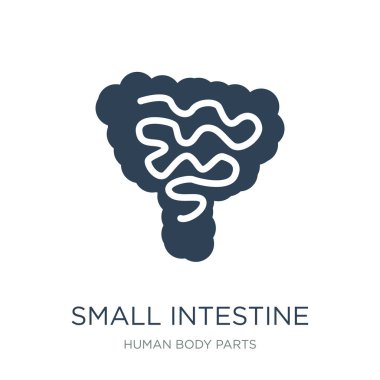 ince bağırsak simge vektör beyaz zemin üzerine, ince bağırsak trendy insan vücudu parçaları toplama simgeler dolu.