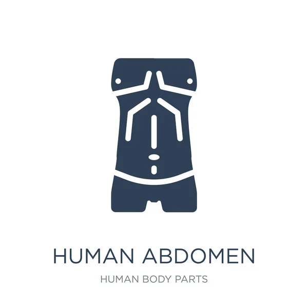 human abdomen icon vector on white background, human abdomen trendy filled icons from Human body parts collection