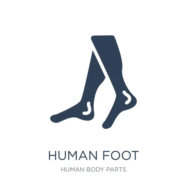 Menschlicher Fuß Icon Vektor Auf Weißem Hintergrund Menschlicher Fuß Trendy — Stockvektor