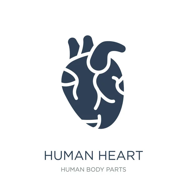 Ανθρώπινη Καρδιά Εικονίδιο Διάνυσμα Άσπρο Φόντο Trendy Ανθρώπινη Καρδιά Γεμάτη — Διανυσματικό Αρχείο