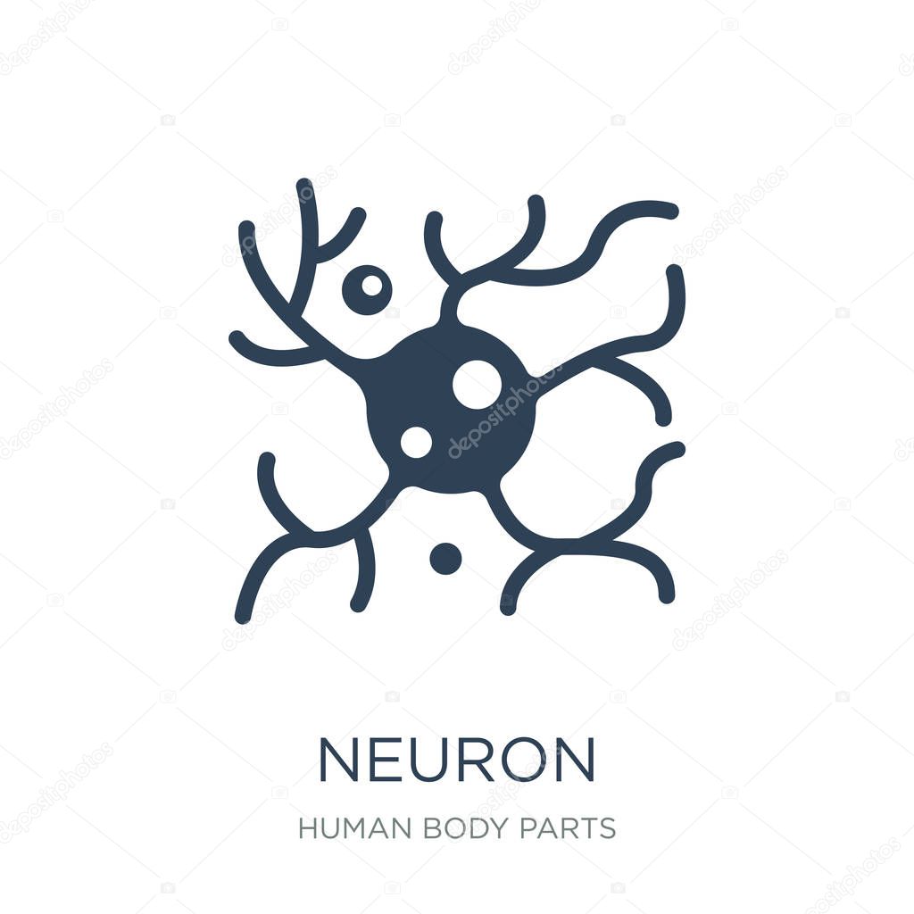 neuron icon vector on white background, neuron trendy filled icons from Human body parts collection