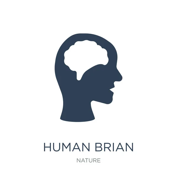 Human Brian Icon Vector White Background Human Brian Trendy Filled — Stock Vector