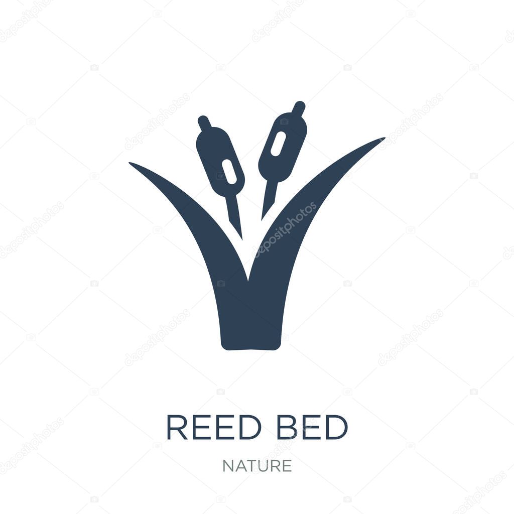 reed bed icon vector on white background, reed bed trendy filled icons from Nature collection