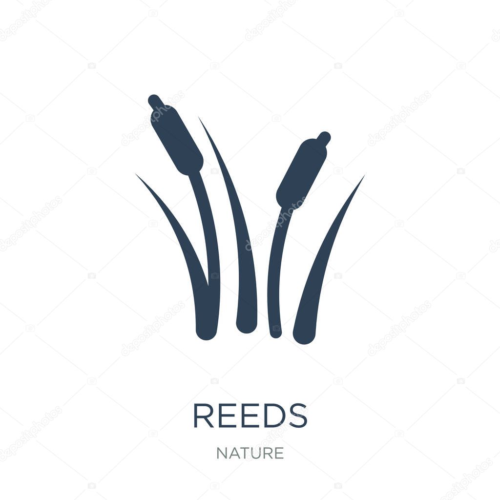 Reeds icon vector on white background, reeds trendy filled icons from Nature collection