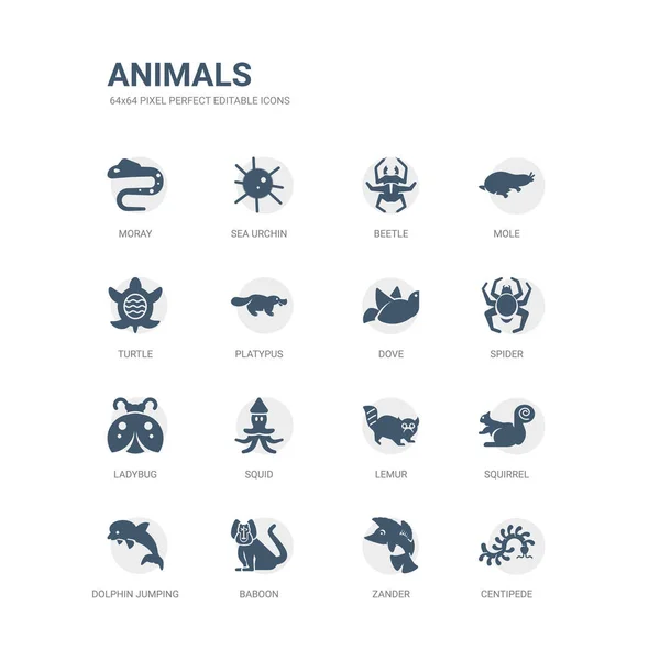 Conjunto simple de iconos como ciempiés, zander, babuino, salto de delfines, ardilla, lémur, calamar, mariquita, araña, paloma. colección de iconos de animales relacionados. editable 64x64 píxeles perfecto . — Archivo Imágenes Vectoriales