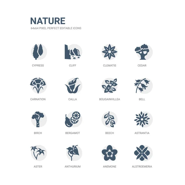 Simple set of icons such as alstroemeria, anemone, anthurium, aster, astrantia, beech, bergamot, birch, bell, bougainvillea. related nature icons collection. editable 64x64 pixel perfect. — Stock Vector