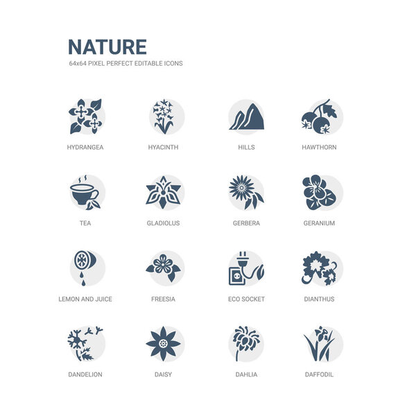 простой набор икон, таких как нарцисс, герань, маргаритка, одуванчик, диан, эко розетка, фризия, лимон и сок выпадают, герань, гербера. Коллекция, связанная с этим. съедобный (64 пикселя)
