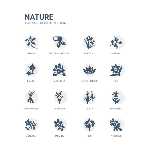 Eenvoudige set van iconen zoals hypericum, iris, jasmijn, Jonquille, knapweed, lariks, lavendel, citroengras, lily, lotusbloem. Verwante natuur iconen collectie. bewerkbare 64 x 64 pixel perfect. — Stockvector