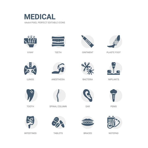 Eenvoudige set van pictogrammensets, zoals Kladblok, bretels, tabletten, darmen, penis, oor, wervelkolom, tand, implantaten, bacteriën. verwante medische iconen collectie. bewerkbare 64 x 64 pixel perfect. — Stockvector