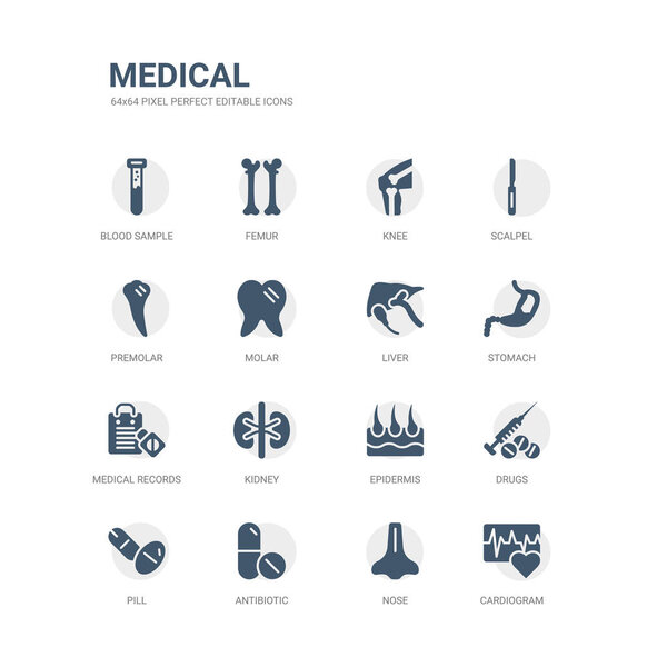 простой набор икон, таких как кардиограмма, нос, антибиотики, таблетки, лекарства, эпидермис, почки, медицинские записи, желудок, печень. коллекция медицинских икон. съедобный 64-пиксельный
.