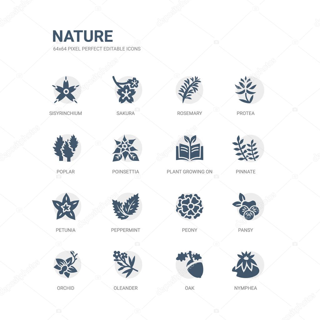 simple set of icons such as nymphea, oak, oleander, orchid, pansy, peony, peppermint, petunia, pinnate, plant growing on book. related nature icons collection. editable 64x64 pixel perfect.