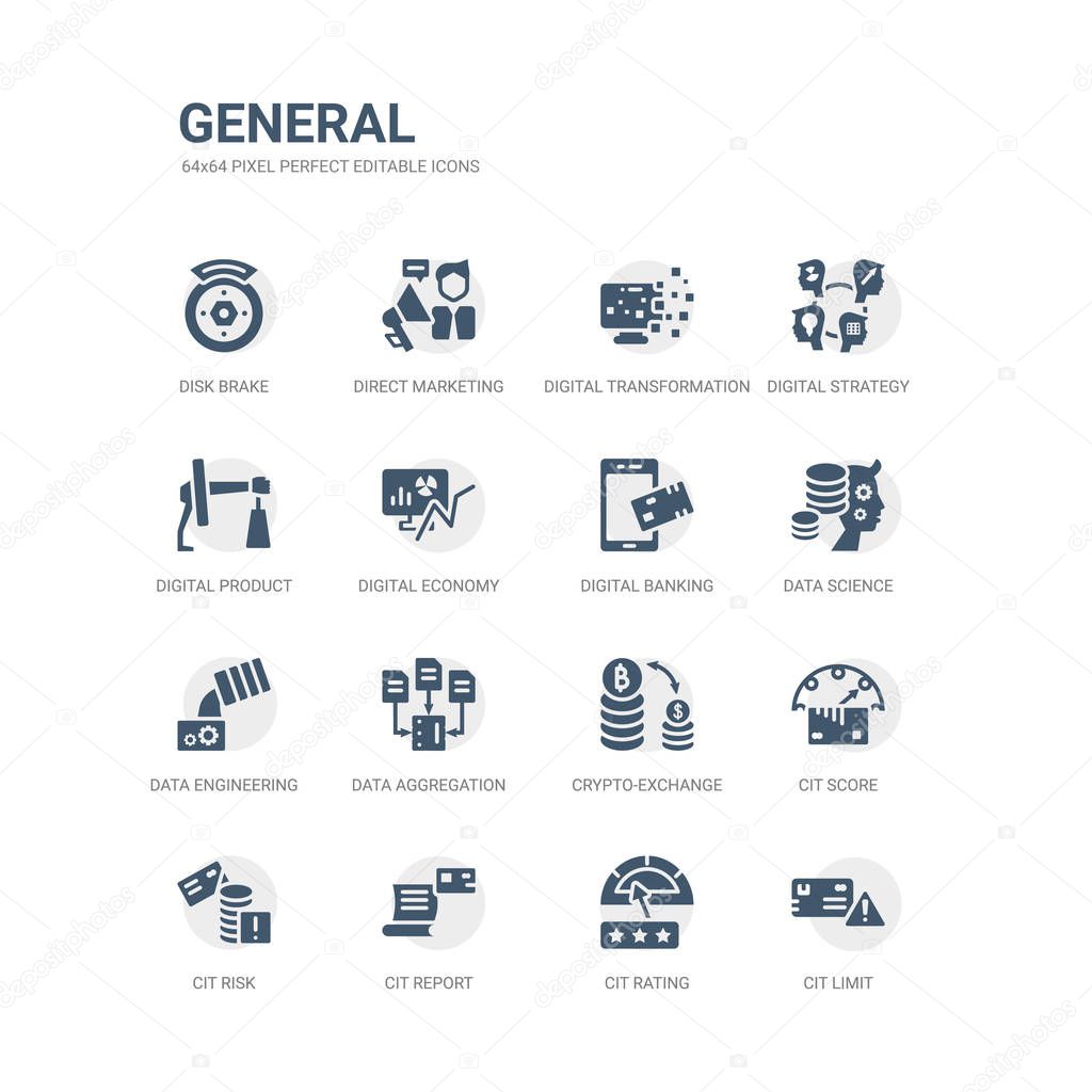 simple set of icons such as cit limit, cit rating, cit report, risk, score, crypto-exchange, data aggregation, data engineering, data science, digital banking. related general icons collection.