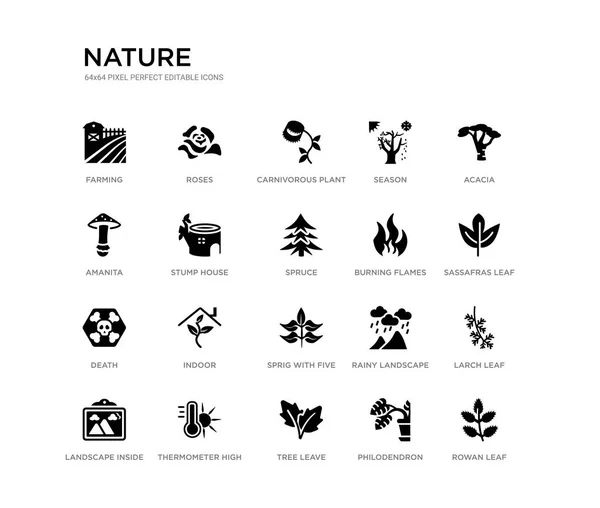 Set van 20 zwarte gevuld vector iconen zoals Rowan Leaf, lariks blad, Sassafras blad, Acacia, Philodendron, boom verlof, Amanita, seizoen, vleesetende plant, rozen. natuur Black icons collectie. — Stockvector