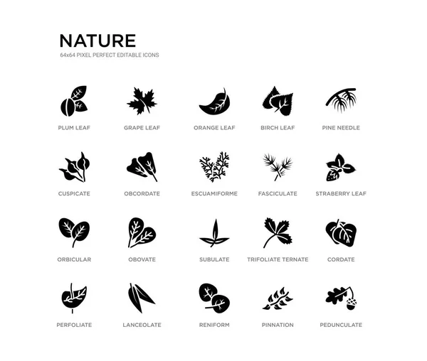 Set of 20 black filled vector icons such as pedunculate, cordate, straberry leaf, pine needle, pinnation, reniform, cuspicate, birch leaf, orange leaf, grape nature black icons collection. editable — Stock Vector