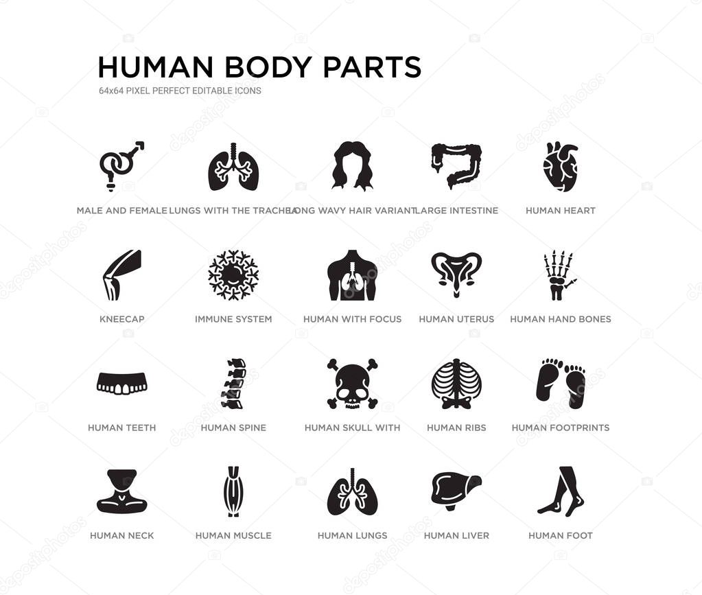 set of 20 black filled vector icons such as human foot, human footprints, human hand bones, heart, liver, lungs, kneecap, large intestine, long wavy hair variant, lungs with the trachea. body parts