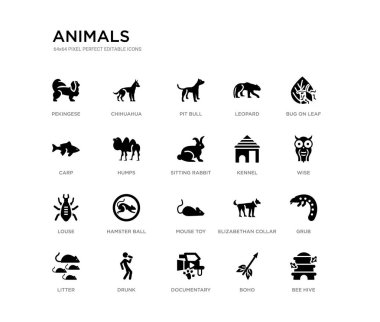 20 siyah dolu vektör simgeleri gibi arı kovanı, Grub, bilge, yaprak, Boho, belgesel, sazan, leopar, Pit Bull, Chihuahua üzerinde hata kümesi. hayvanlar siyah simgeler koleksiyonu. düzenlenebilir piksel mükemmel