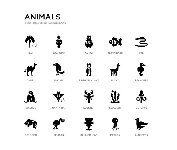 Conjunto de 20 iconos vectoriales llenos de negro como albotros, pulpo, caballito de mar, anguila, medusa, joroba, camello, peces payaso, panda, vaca marina. animales colección de iconos negros. píxel editable perfecto — Archivo Imágenes Vectoriales