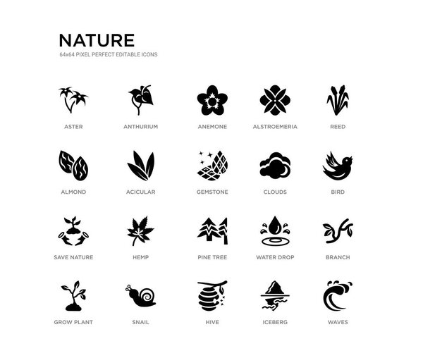 набор из 20 черных заполненных векторных значков, таких как волны, ветви, птица, тростник, айсберг, улей, миндаль, альстромерия, анемон, антурий. Коллекция черной природы. Съедобный пирог
