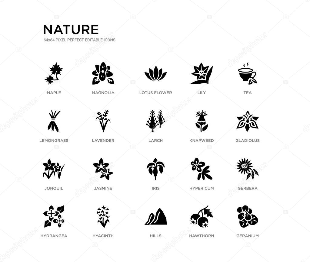 set of 20 black filled vector icons such as geranium, gerbera, gladiolus, tea, hawthorn, hills, lemongrass, lily, lotus flower, magnolia. nature black icons collection. editable pixel perfect