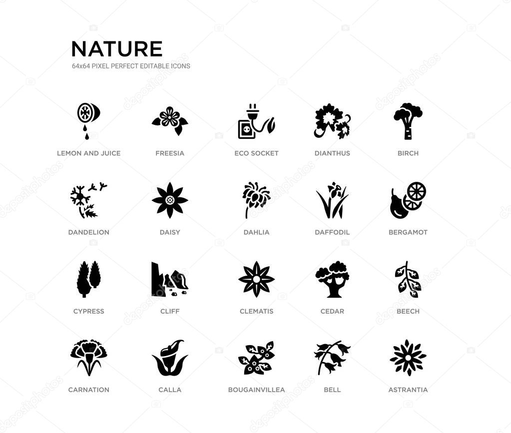 set of 20 black filled vector icons such as astrantia, beech, bergamot, birch, bell, bougainvillea, dandelion, dianthus, eco socket, freesia. nature black icons collection. editable pixel perfect