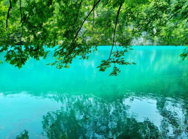 Lake parlak gök mavisi renginde su ile. Kaya, yeşillik içinde dalmış. Küçük bulutlar bulutlar ile yaz, mavi gökyüzü. Plitvice Gölleri, Hırvatistan.