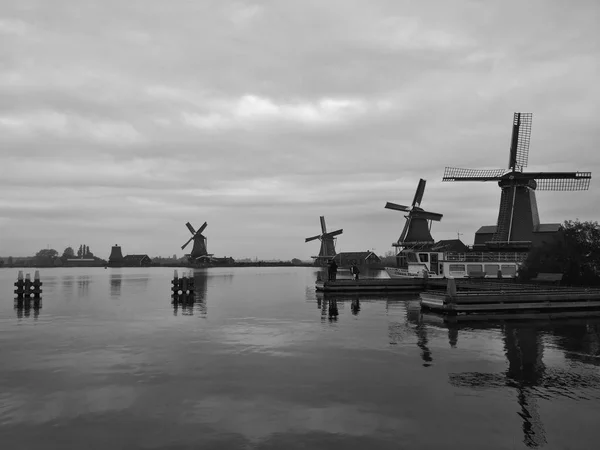 Four Windmills River Zaan Black White Zaanse Schans Netherlands Coudy — Stock Photo, Image