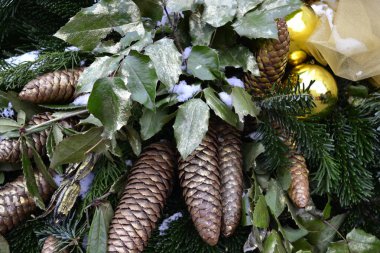 Sarı Noel ağacı topları, koni ve kar. Noel ağacı dalı. Portre.