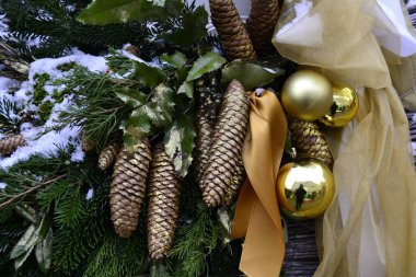 Sarı Noel ağacı topları, koni ve kar. Noel ağacı dalı. Portre.