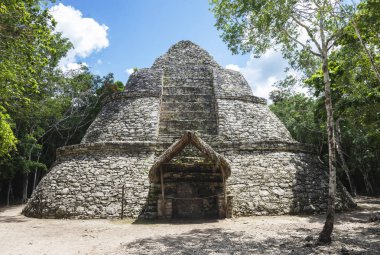 Xaibe Maya Piramidi Coba, Meksika - resim