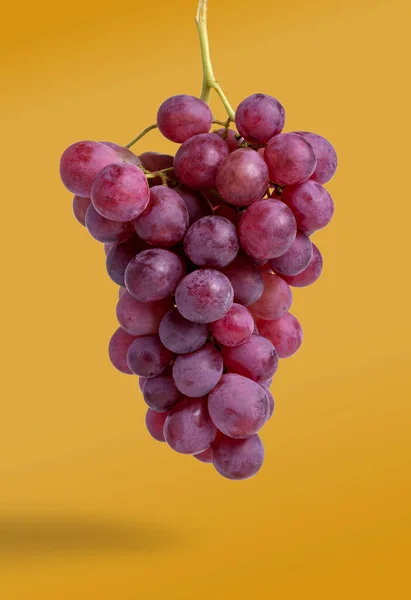 Turuncu arkaplanda izole edilmiş bir grup kırmızı üzüm - görüntü