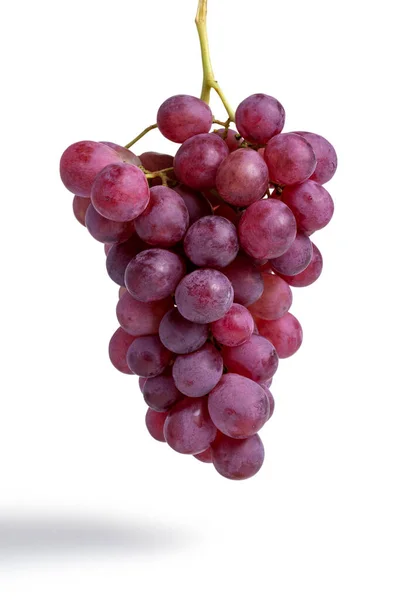Bando de uvas vermelhas isoladas no fundo branco - imagem — Fotografia de Stock