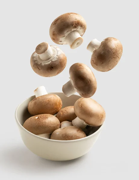 Cogumelos Voando Tigela Branca Isolada Fundo — Fotografia de Stock