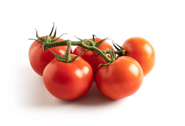 Tomaten Auf Zweig Isoliert Von Weißem Hintergrund — Stockfoto