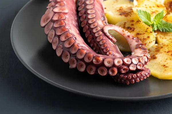 Delicious octopus tentacles served on a fine plate, on rustic background, high quality macro image