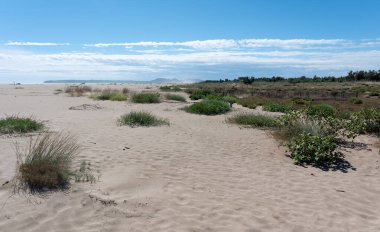 Yazın insanların olmadığı geniş bir sahil.