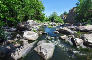 Güneşli bir görünümü geçerli nehrin taş kayalar ve yeşil ağaçları ile. Buki, Cherkasy region, Ukrayna.