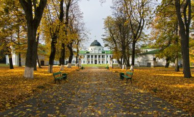 Kachanivka Tarnovskikh Manor merkezi girişine sonbahar ağaçlar arka plan üzerinde. Chernihiv bölgesi Ukrayna. Yatay açık atış.