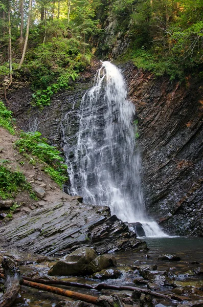 Cachoeira de montanha na floresta — Fotografia de Stock