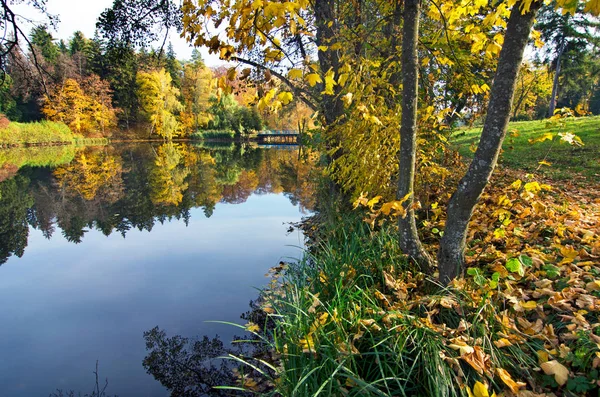 Landscape with  lake in autumn. — Stock Photo, Image