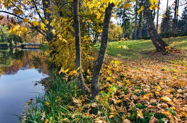 Beautiful autumn landscape. — Stock Photo, Image