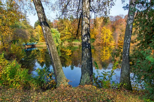 Autumn landscape in park with lake. — Stock Photo, Image