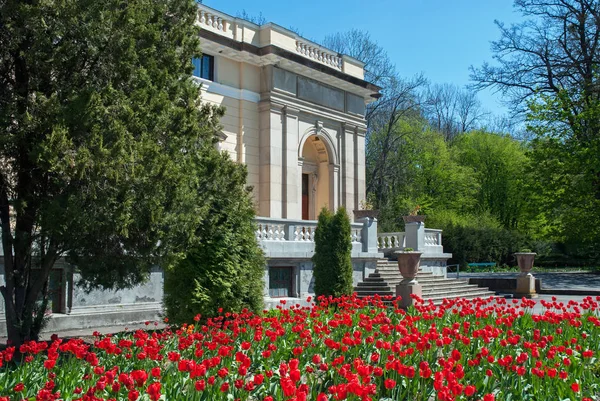 Vista del antiguo palacio en un día soleado en Nemirov . — Foto de Stock