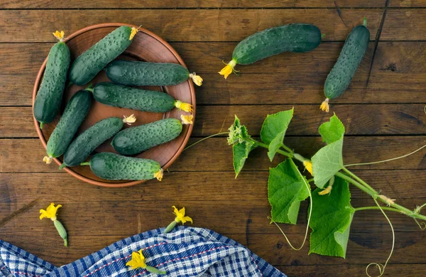 Fresh cucumbers on wooden table. — Stock Photo, Image