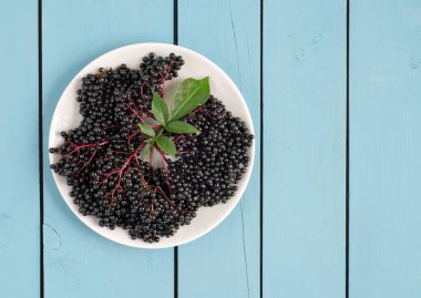 Tabakta olgun mürver çileği kümeleri ve ahşap açık mavi arka planda yeşil yapraklar. Metnin için kopyalama alanı var. Üst görünüm.