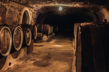 Şarap fıçıları bir mahzende yığılmış.