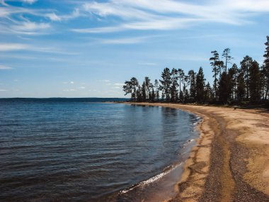 Nehir kıyısında kumlu kıyı ve kozalaklı orman