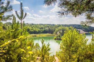 Eski bir bazalt taş ocağında pitoresk bir göl. Saf su ve harika doğa. Bazalt Sütunlar. Rivne Oblastı. Ukrayna