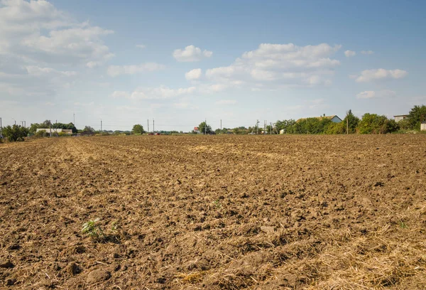 Ongezaaid Kaal Veld Met Datkgrond — Stockfoto